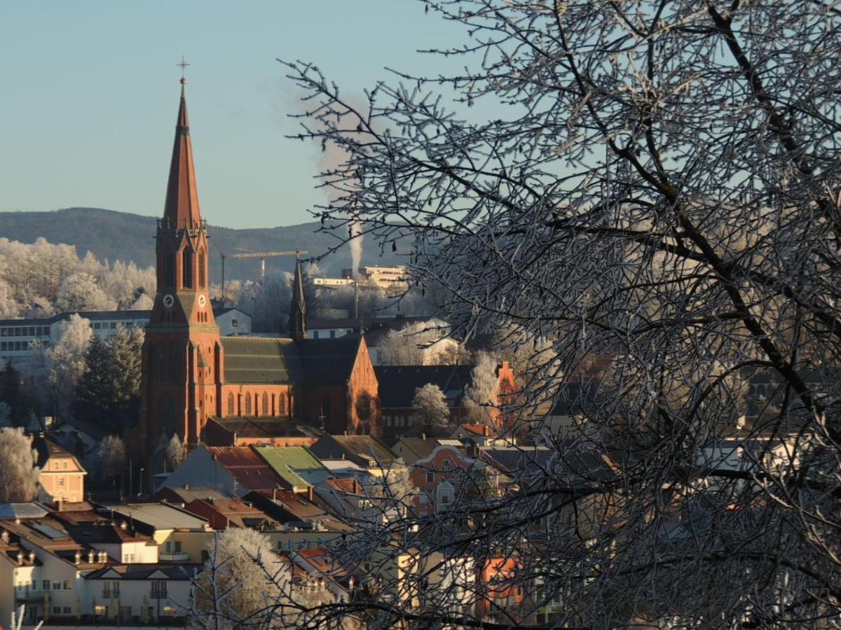 FW Zauberblick Appartement Zwiesel Buitenkant foto