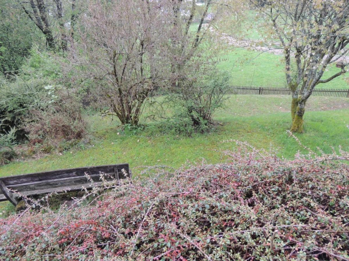 FW Zauberblick Appartement Zwiesel Buitenkant foto